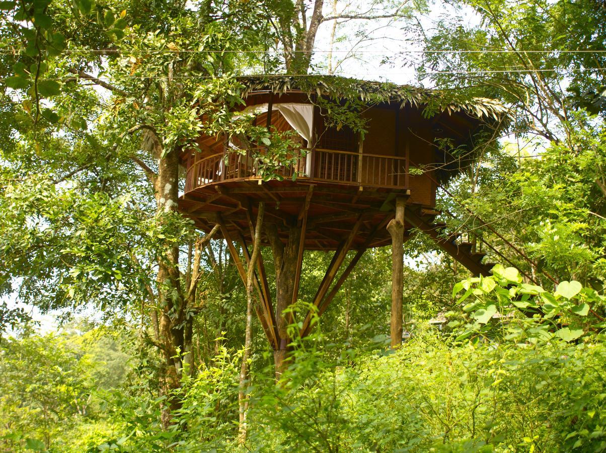 Rainforest Resort Athirappilly Exterior foto